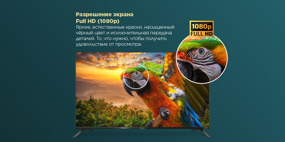 Разрешение экрана Full HD — каждый кадр отличается исключительной передачей деталей и яркостью.